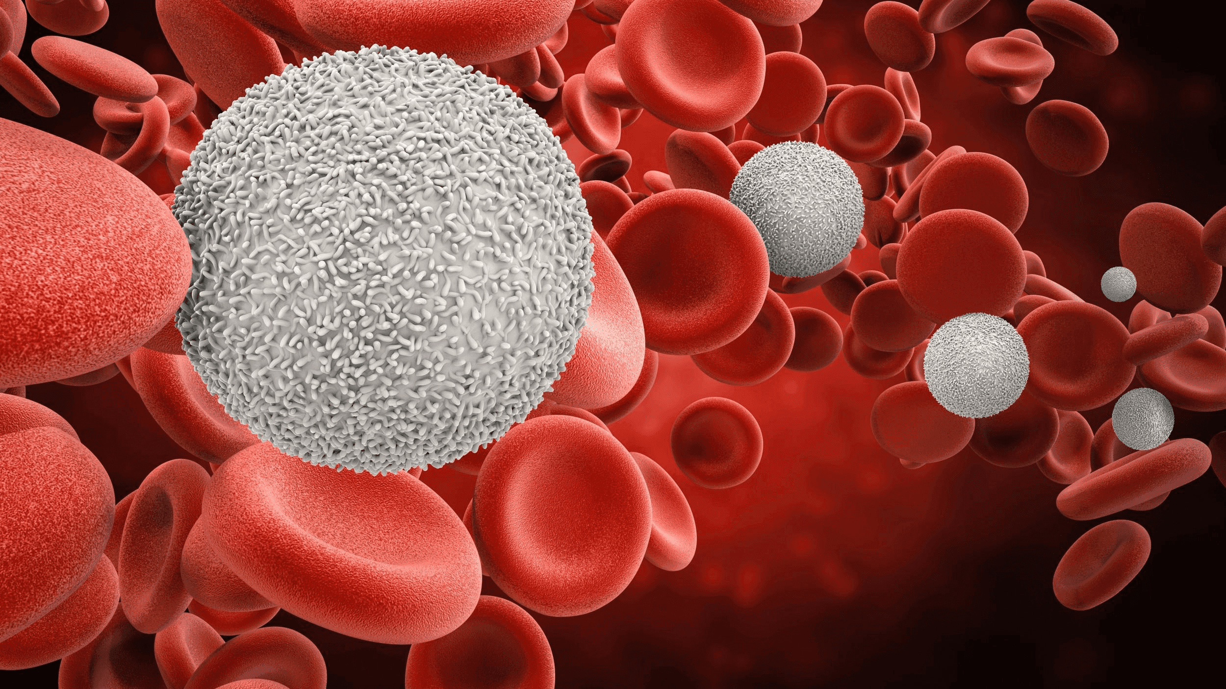 Hematology Platforms